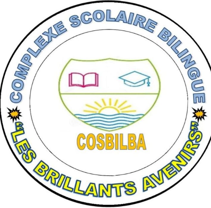 Groupe Scolaire Les Brillants Avenirs